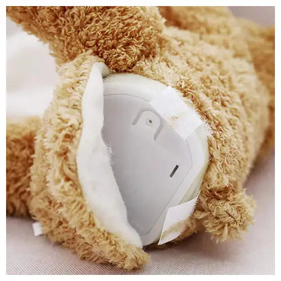 Teddy Bear Peekaboo Toy for Ages 9 Mnths, 1, 2 Years